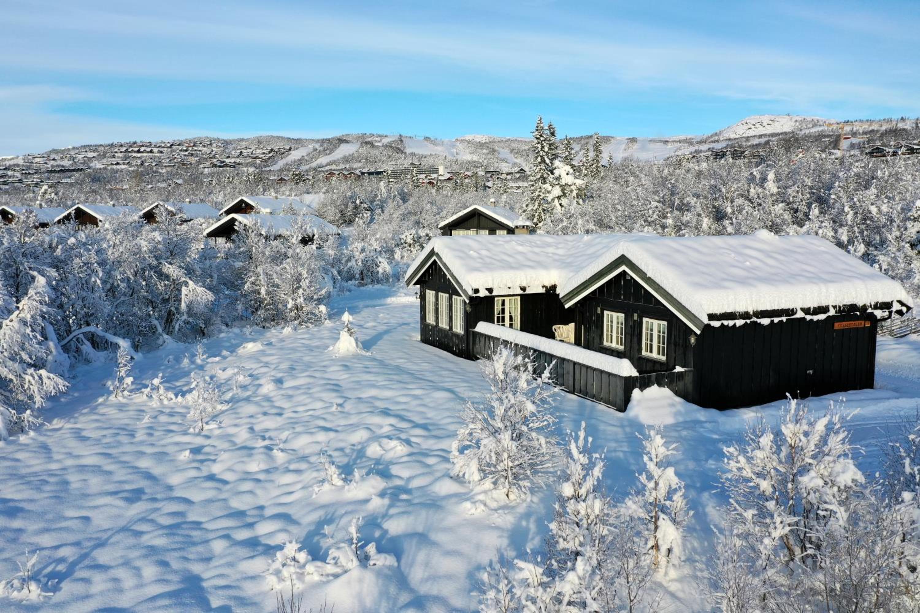 Chalet photo 3
