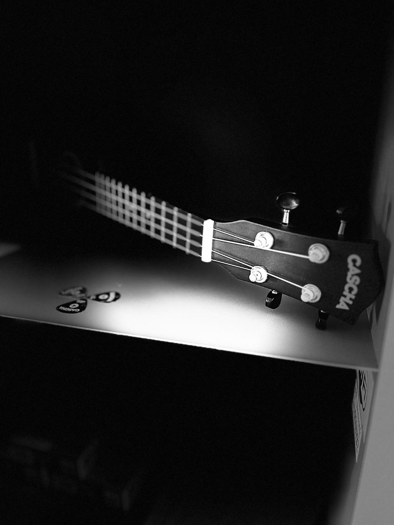 Family Studio photo 3