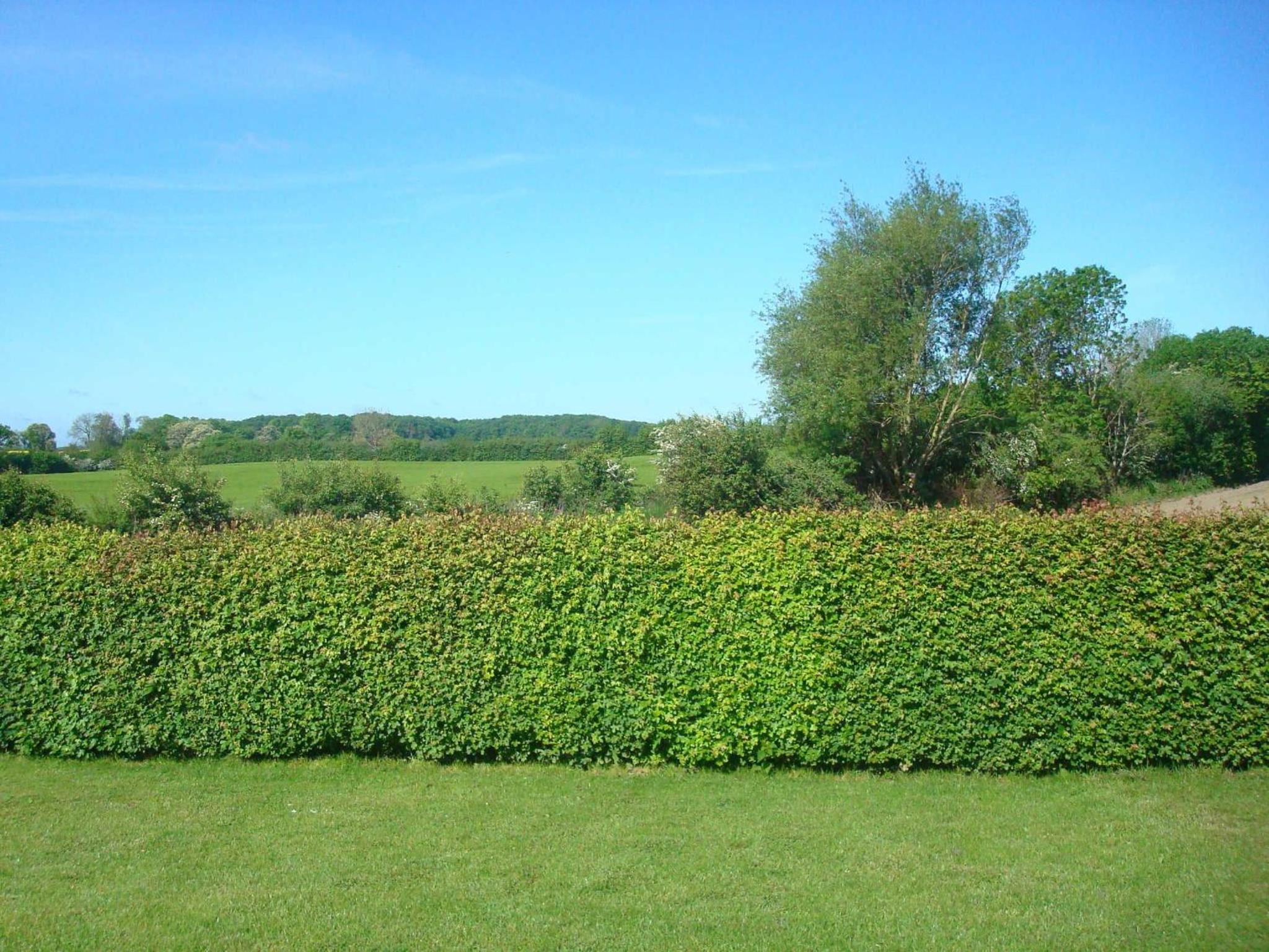 One-Bedroom Apartment with Garden View photo 2