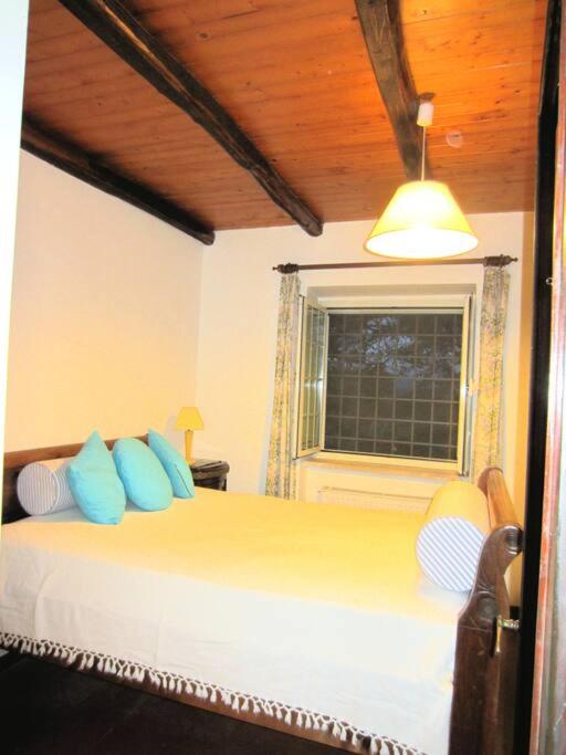 Superior Villa photo 1
