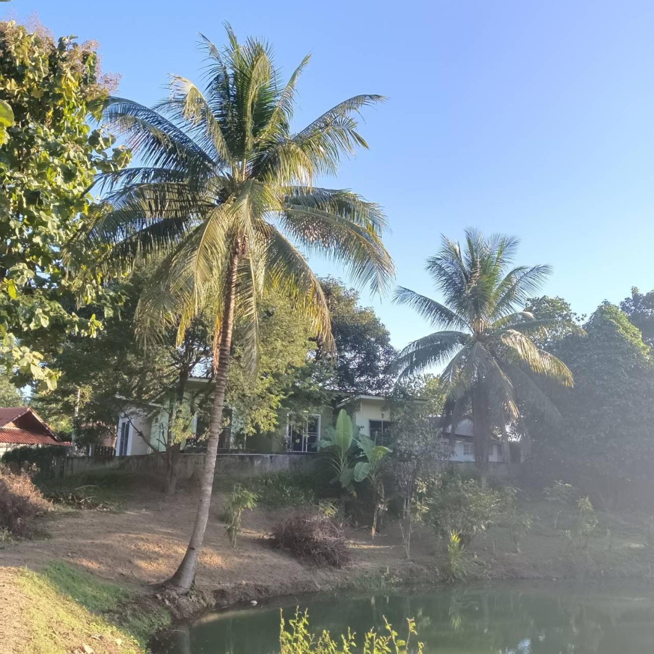 Bungalow - Water Front  photo 2