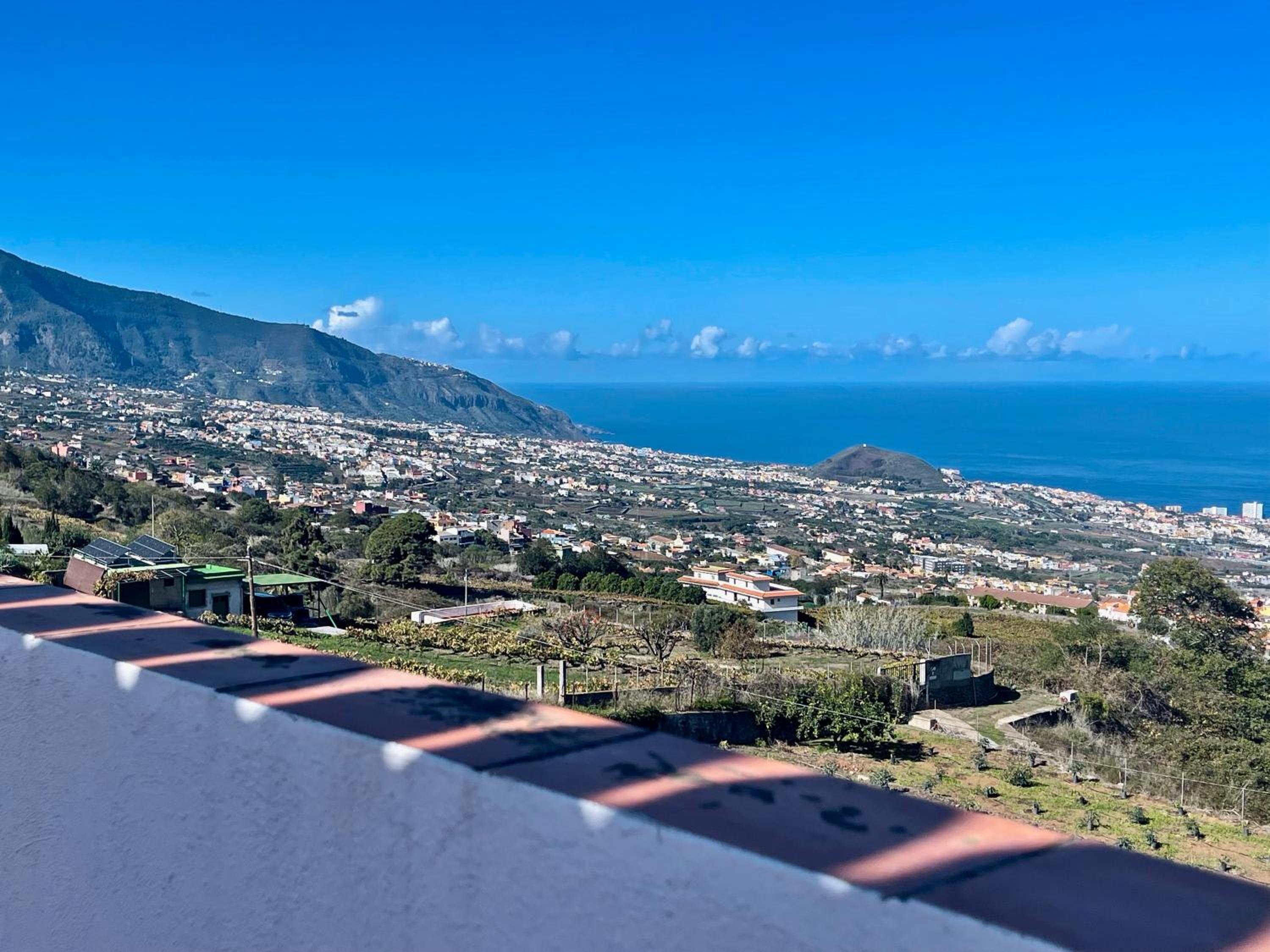 Studio with Sea View photo 3