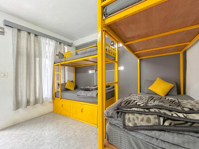 Bed In 4-Bed Dormitory Room