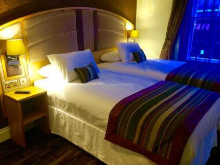 Twin Room photo 3