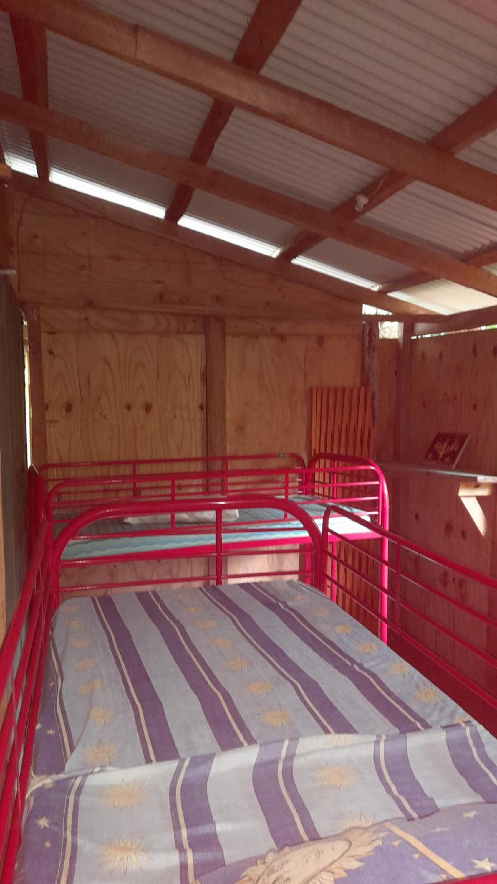 Bed & Sleeping Area