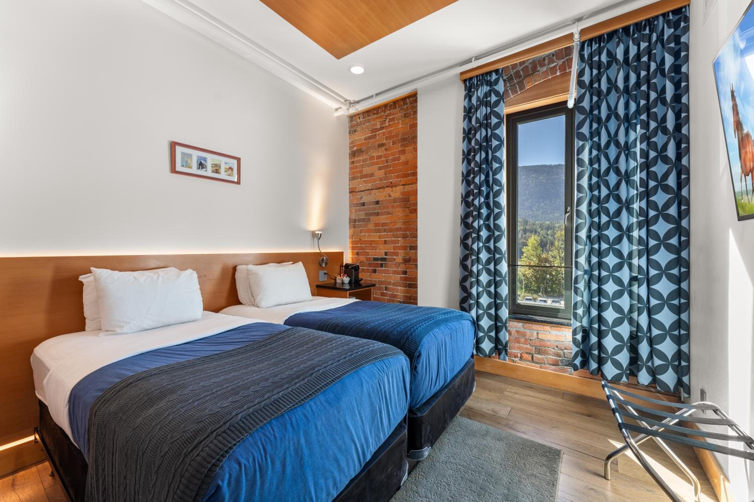Deluxe Twin Room photo 1