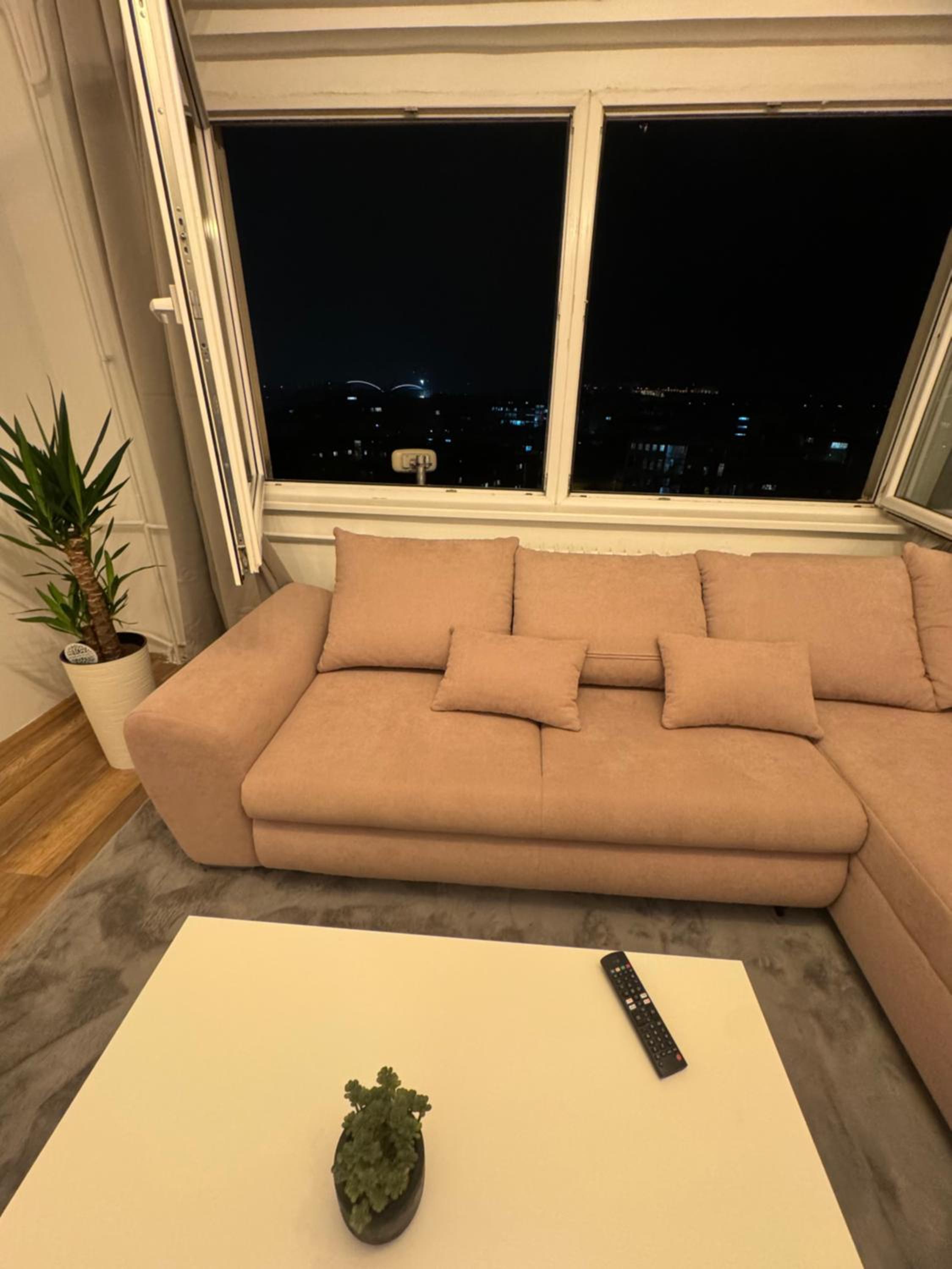One-Bedroom Apartment photo 3