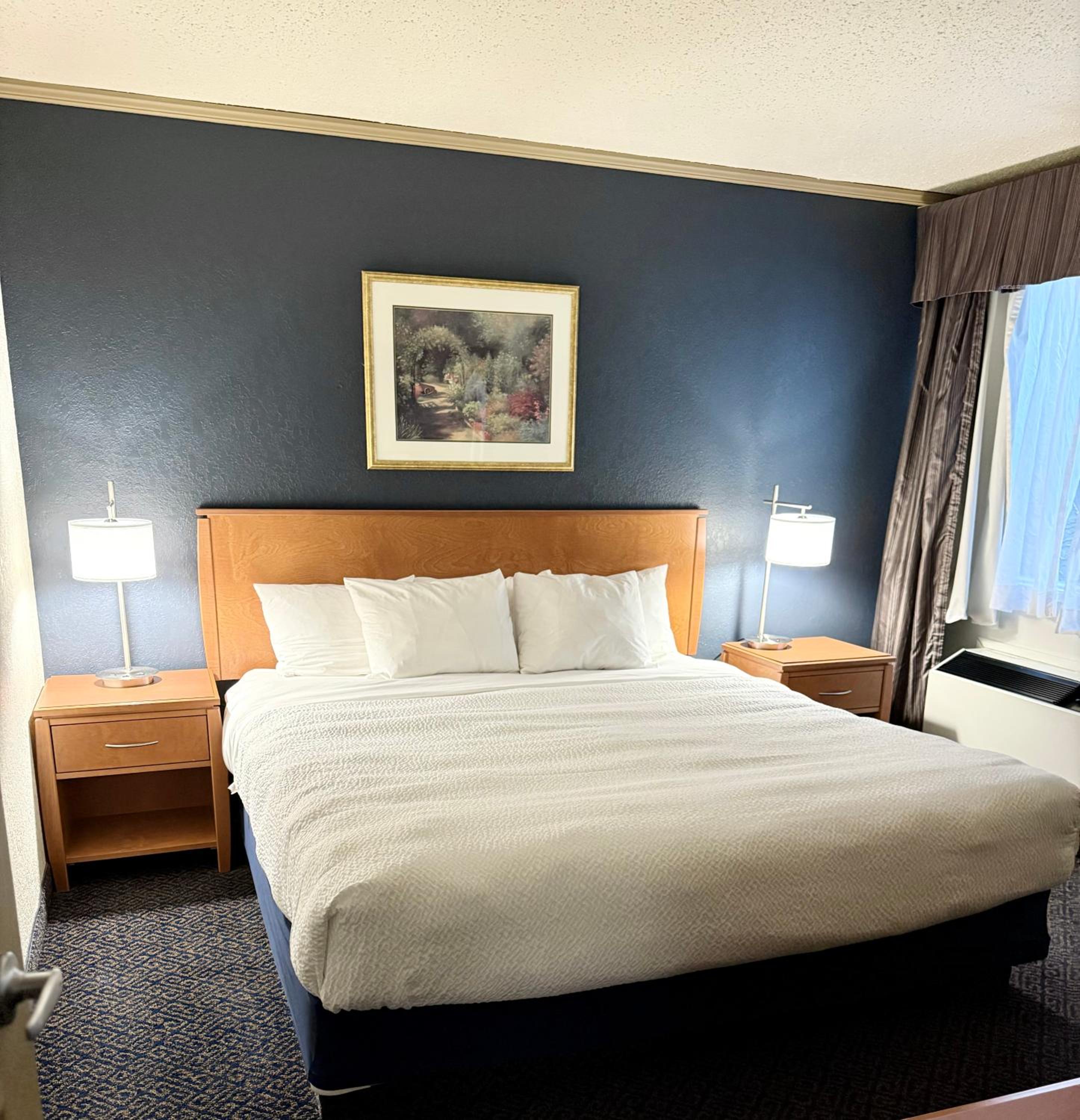King Room - Non-Smoking