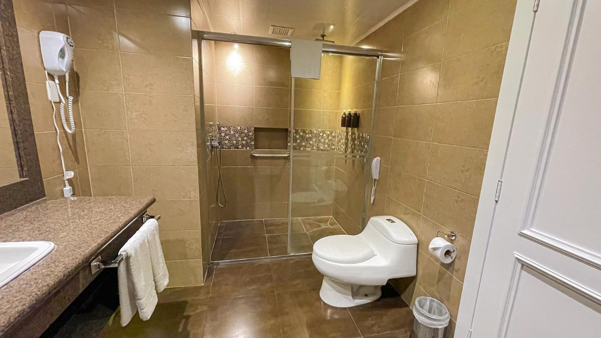 Superior King Suite - Photo 9