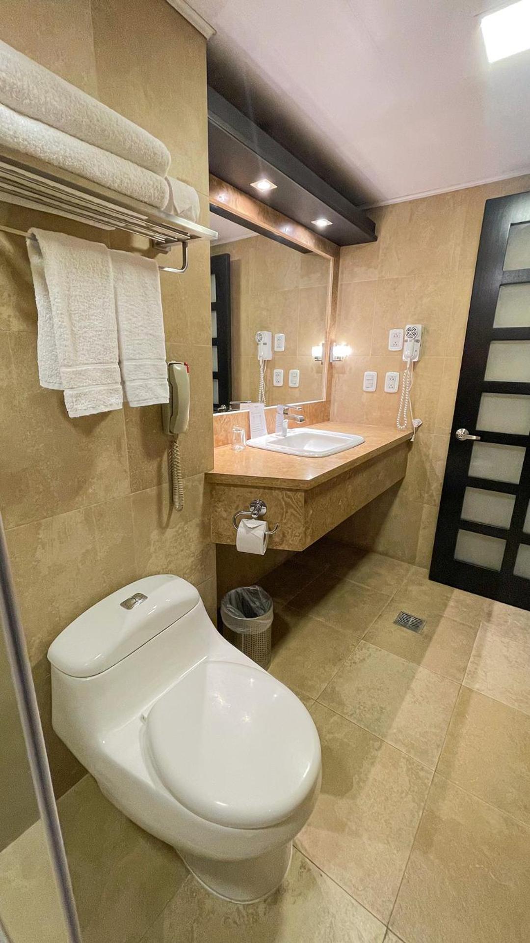 Deluxe King Room - Photo 21