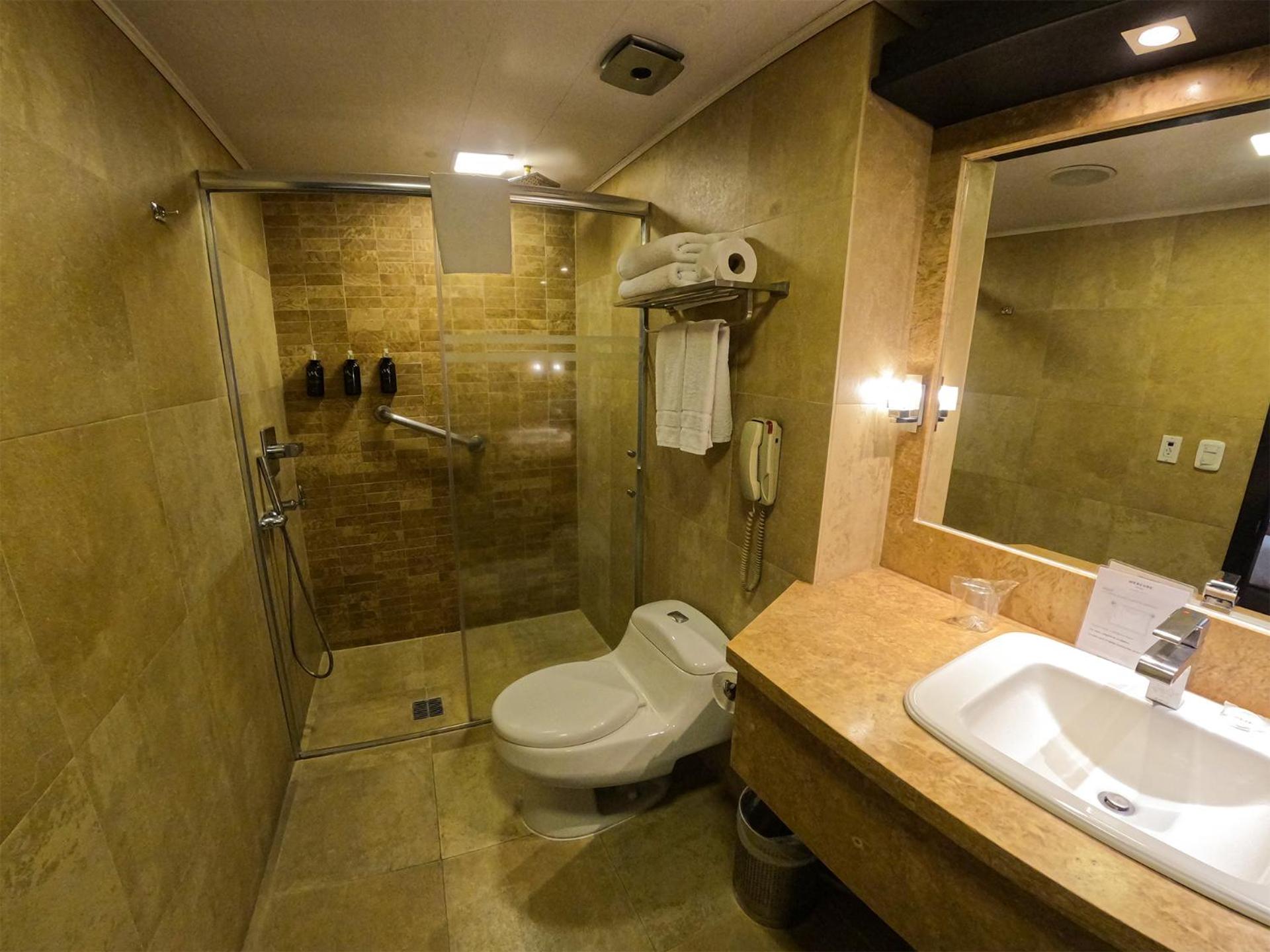Deluxe King Room - Photo 7