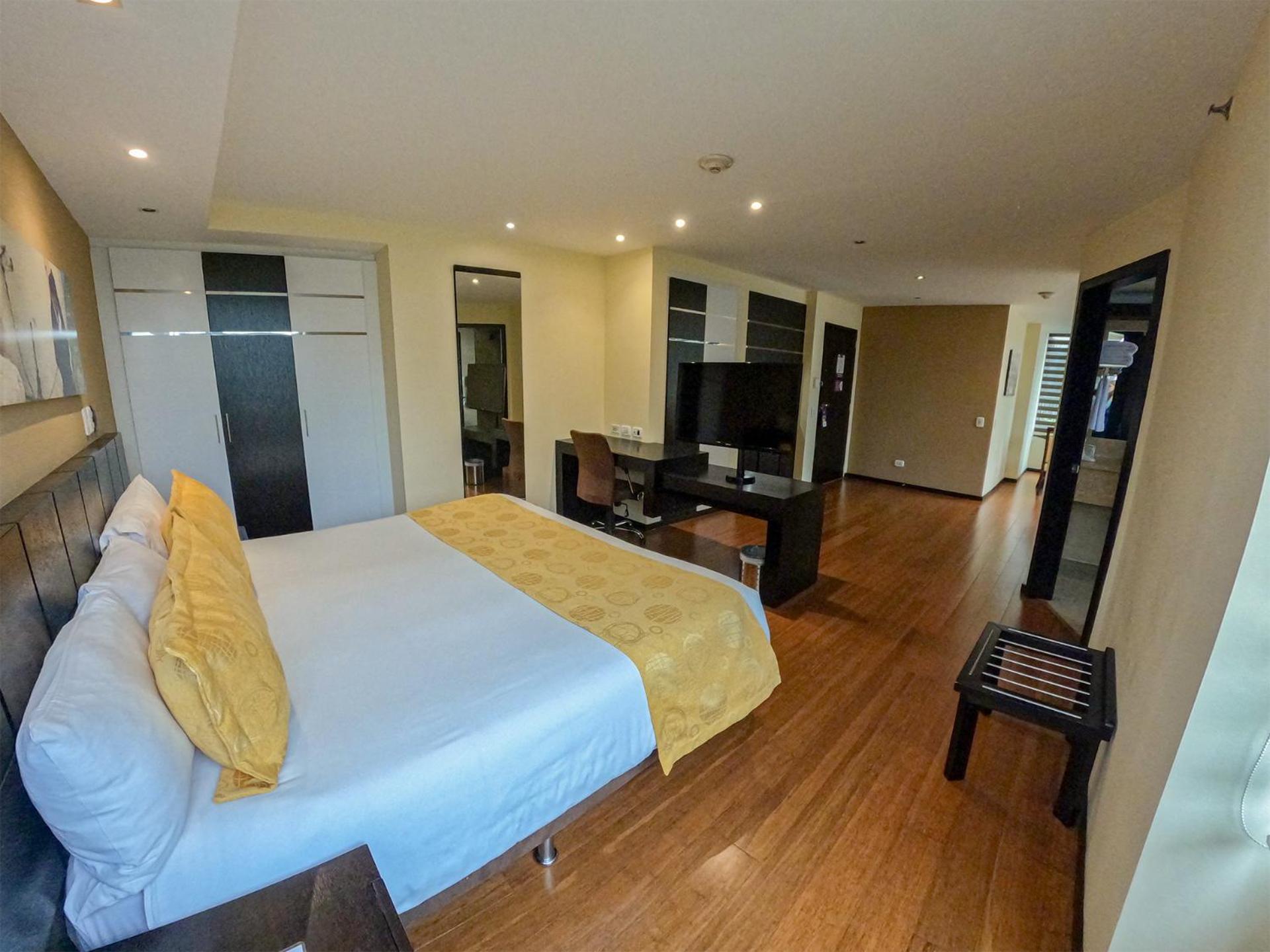 Deluxe King Suite - Photo 14