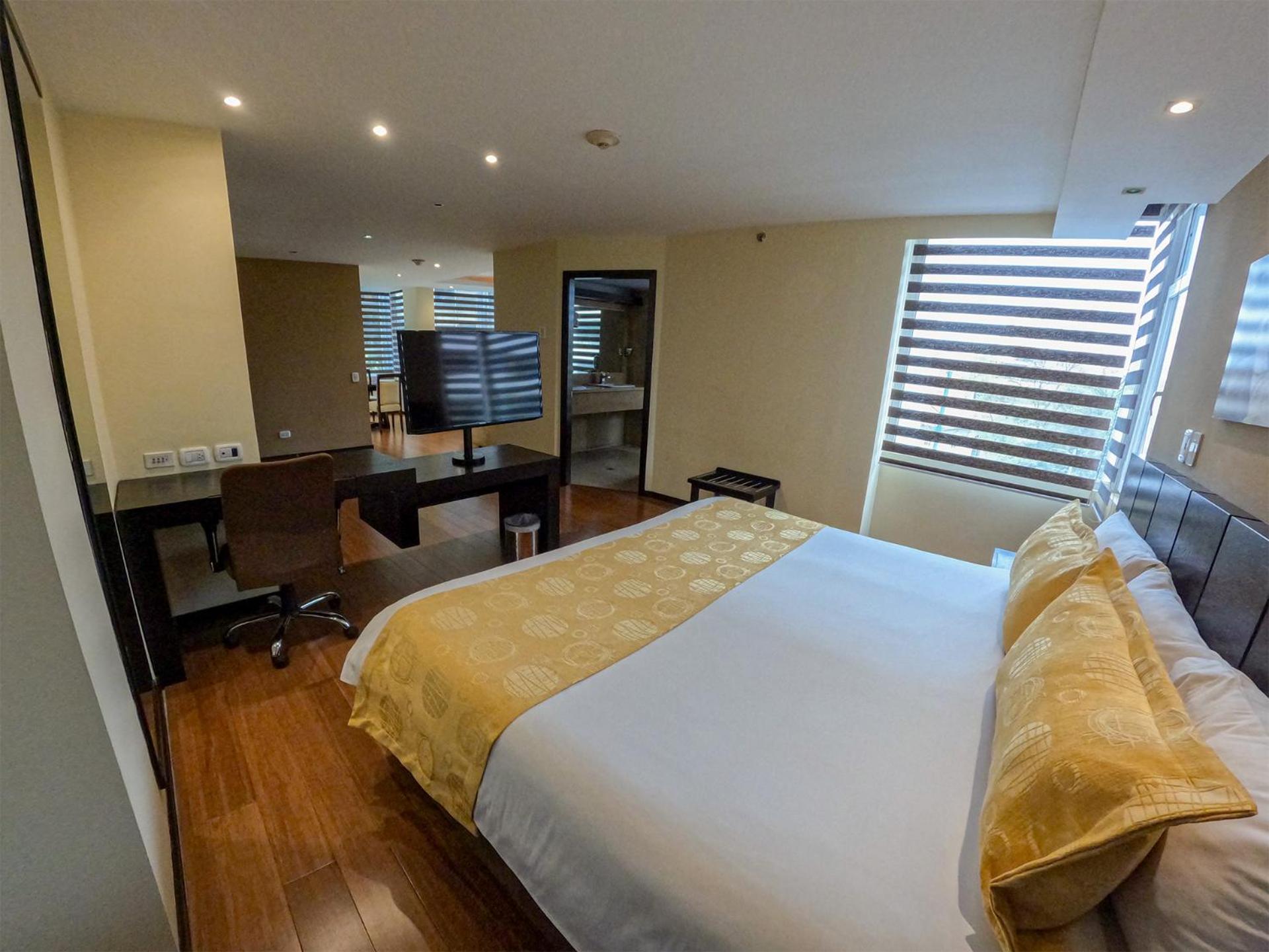 Deluxe King Suite - Photo 9