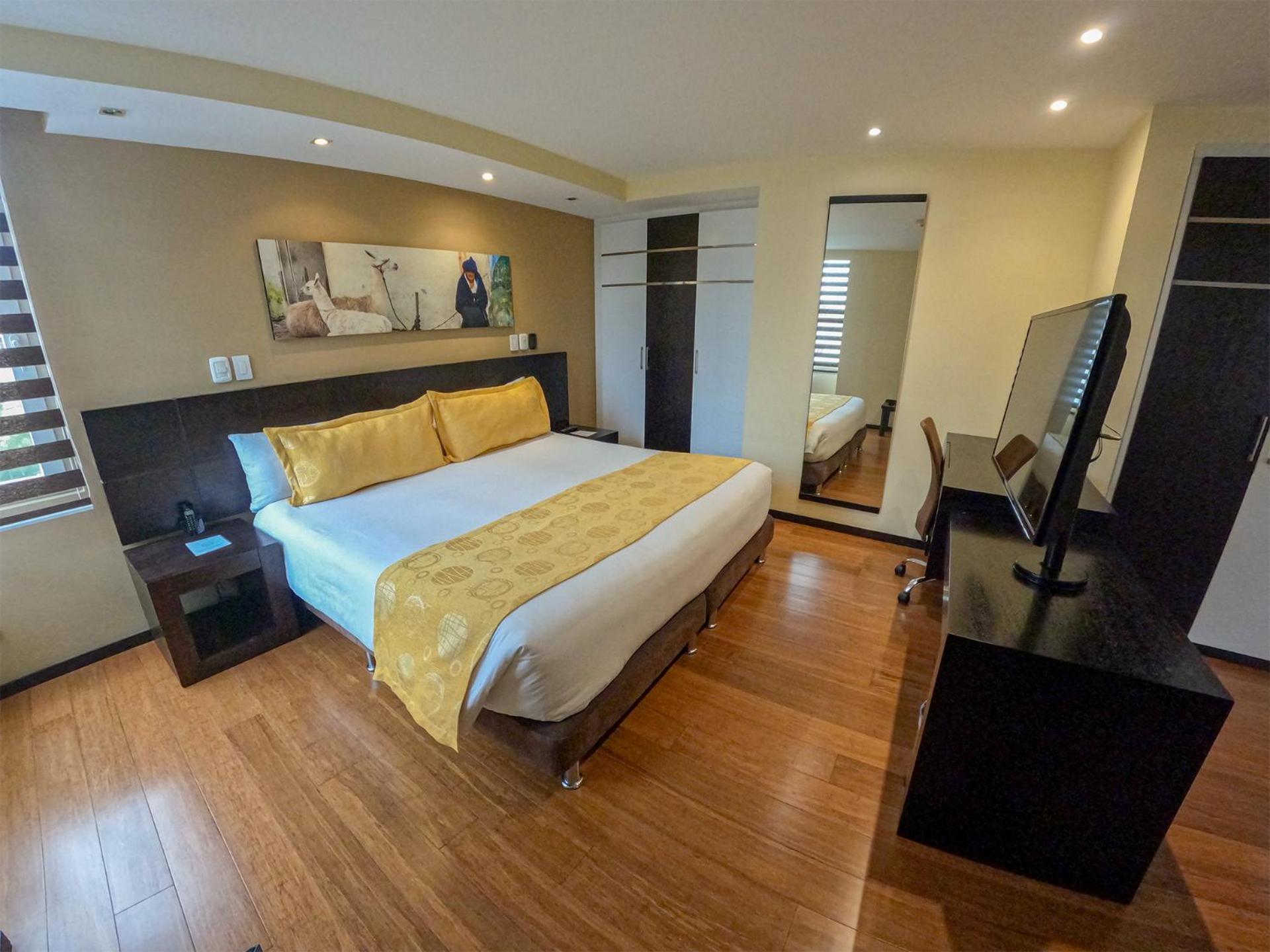 Deluxe King Suite - Photo 23