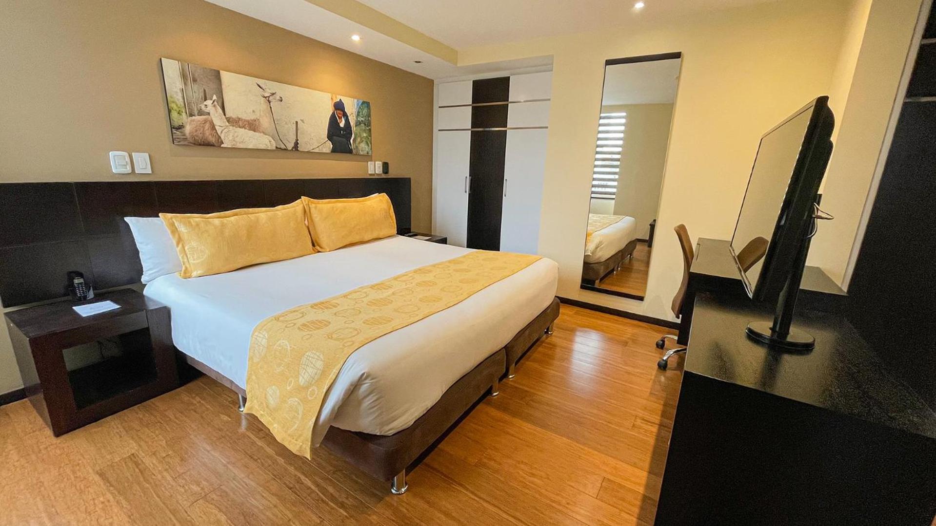 Deluxe King Suite - Photo 19