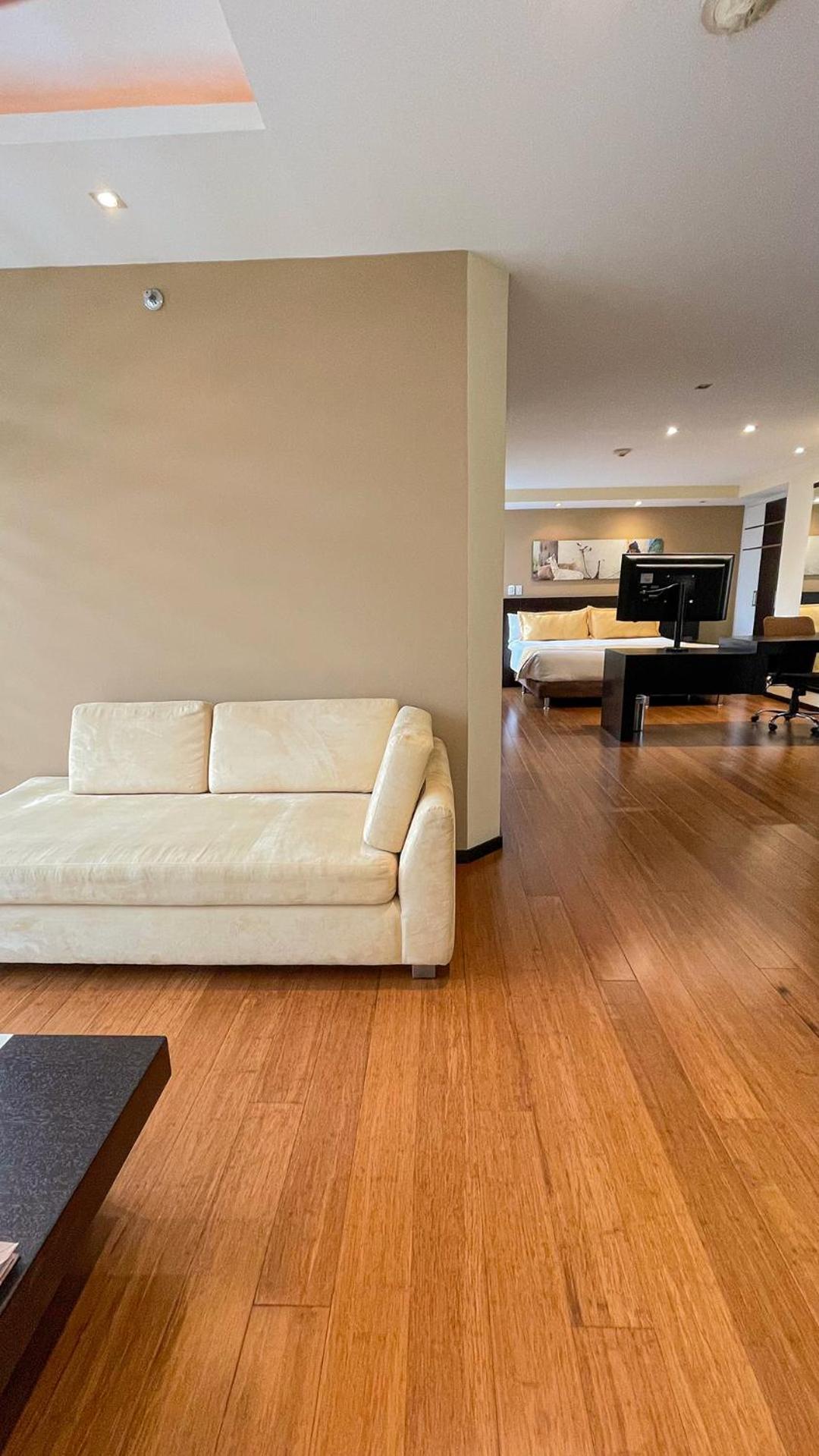 Deluxe King Suite - Photo 20