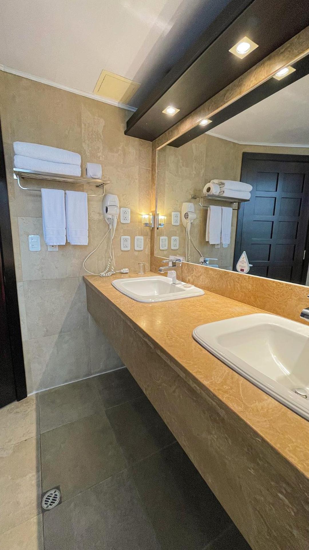 Deluxe King Suite - Photo 21