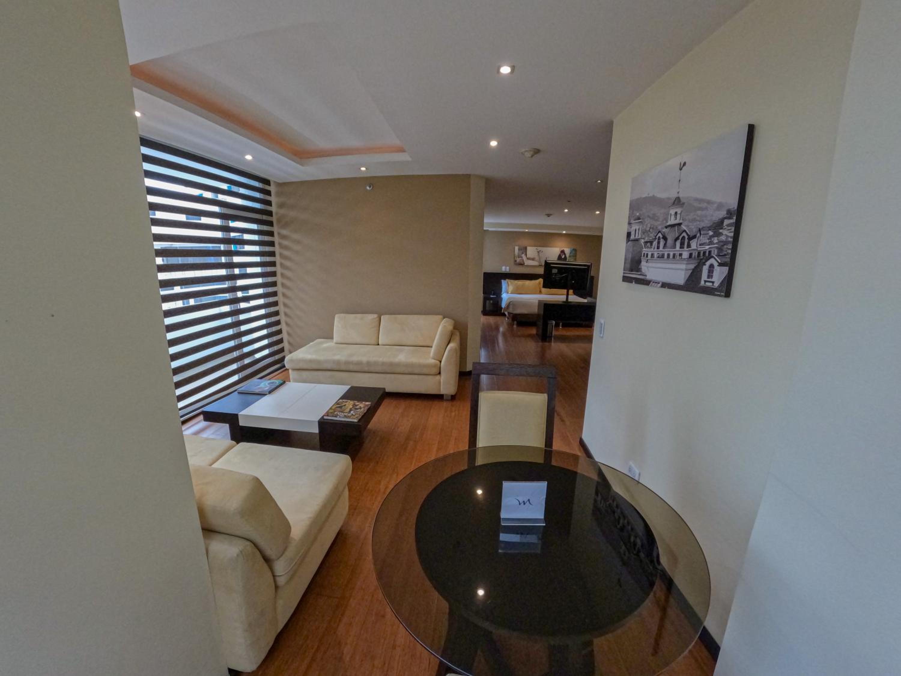 Deluxe King Suite - Photo 26