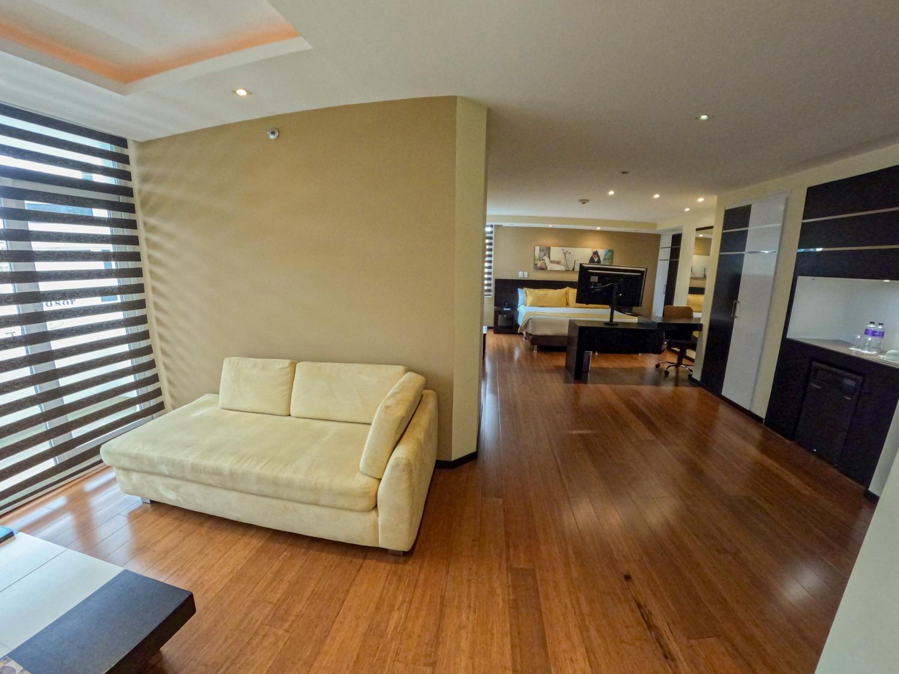 Deluxe King Suite - Photo 25