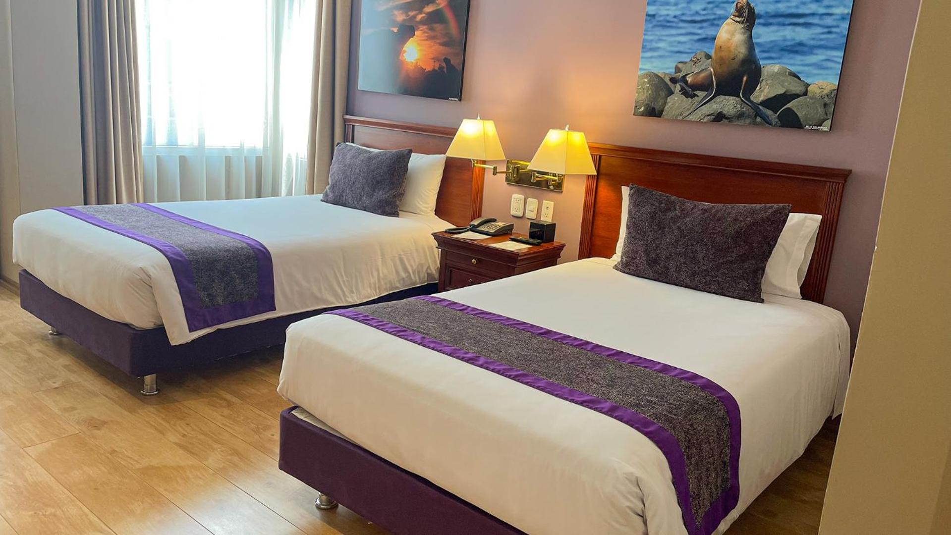 Superior Twin Room - Photo 5