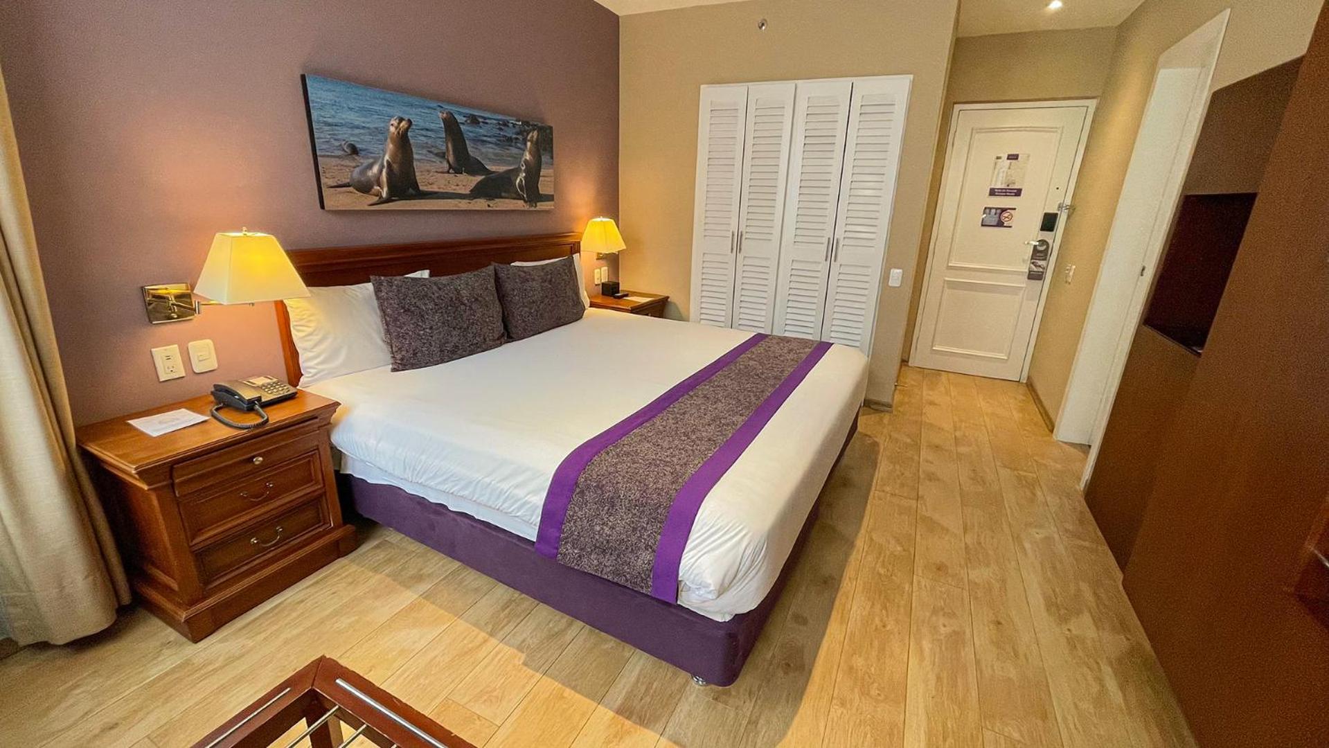 Superior King Room with One King Bed - Photo 7