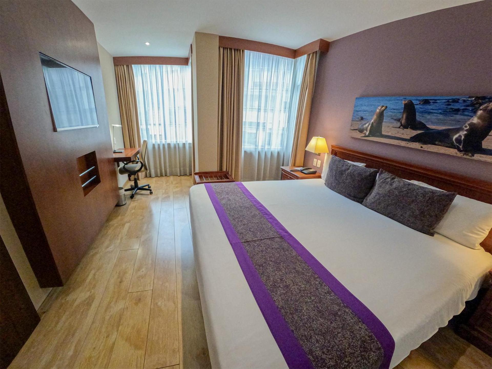 Superior King Room with One King Bed - Photo 35