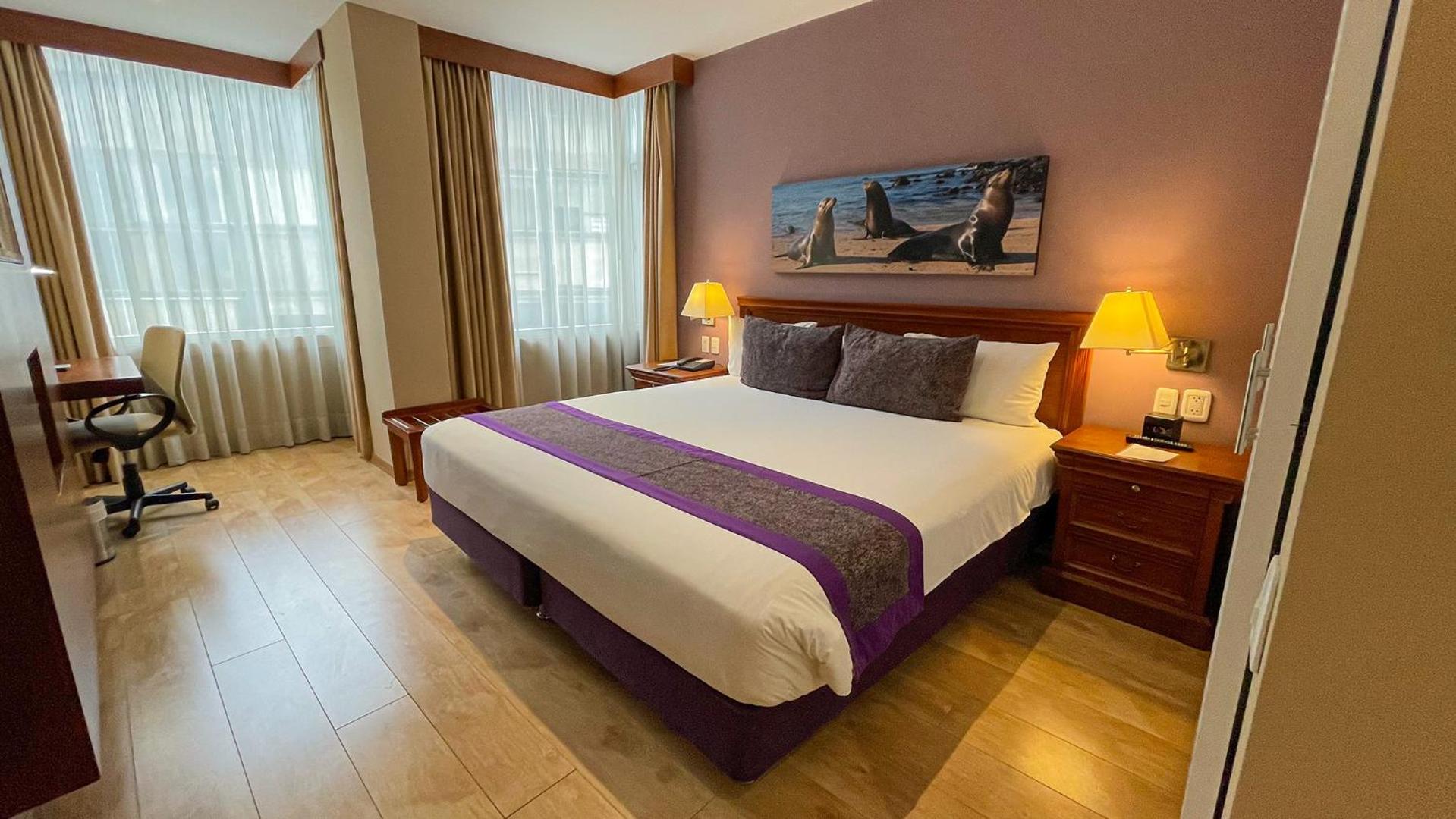 Superior King Room with One King Bed - Photo 34
