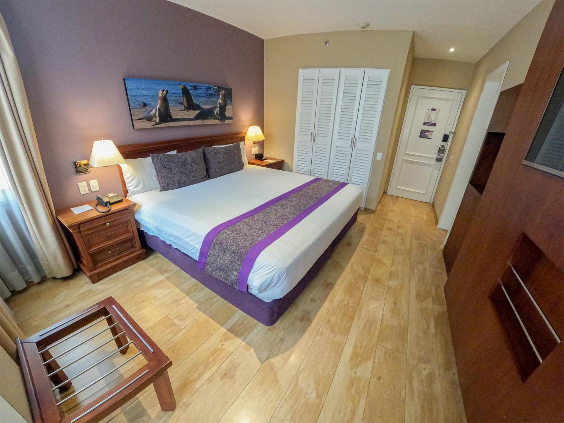 Superior King Room with One King Bed - Photo 19