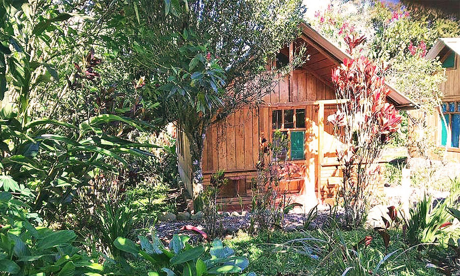 Twin Room with Private Bathroom photo 3