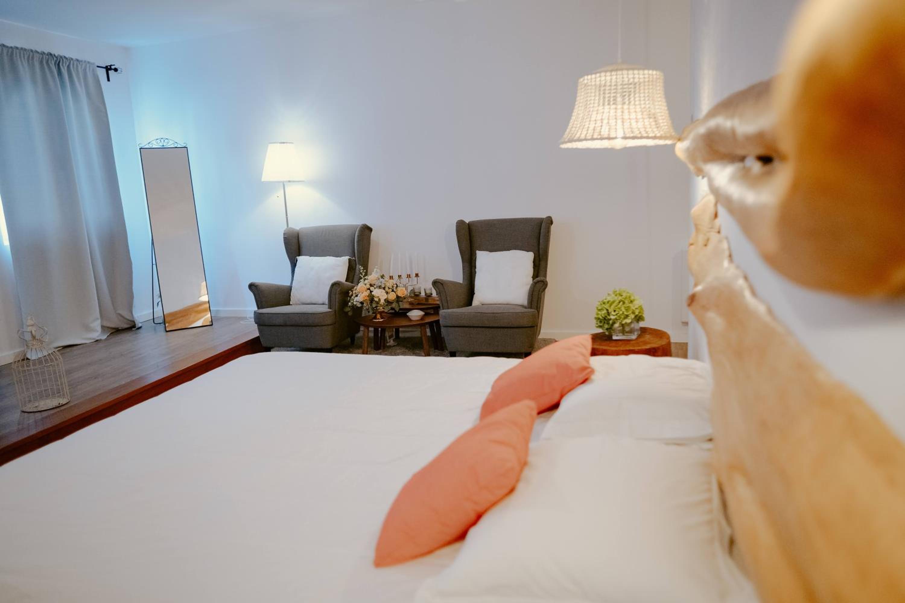 Deluxe King Suite photo 2