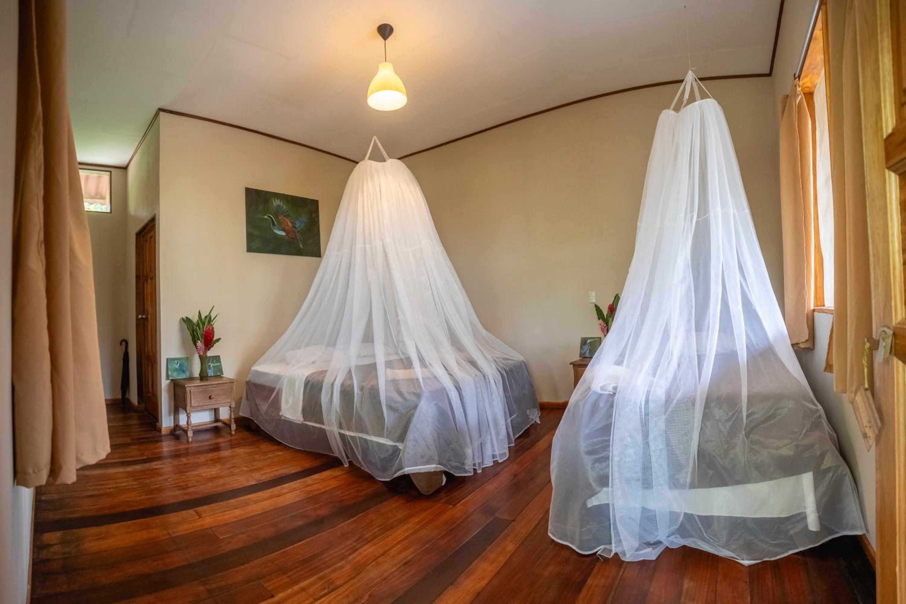 Superior Triple Room with Sea View photo 1