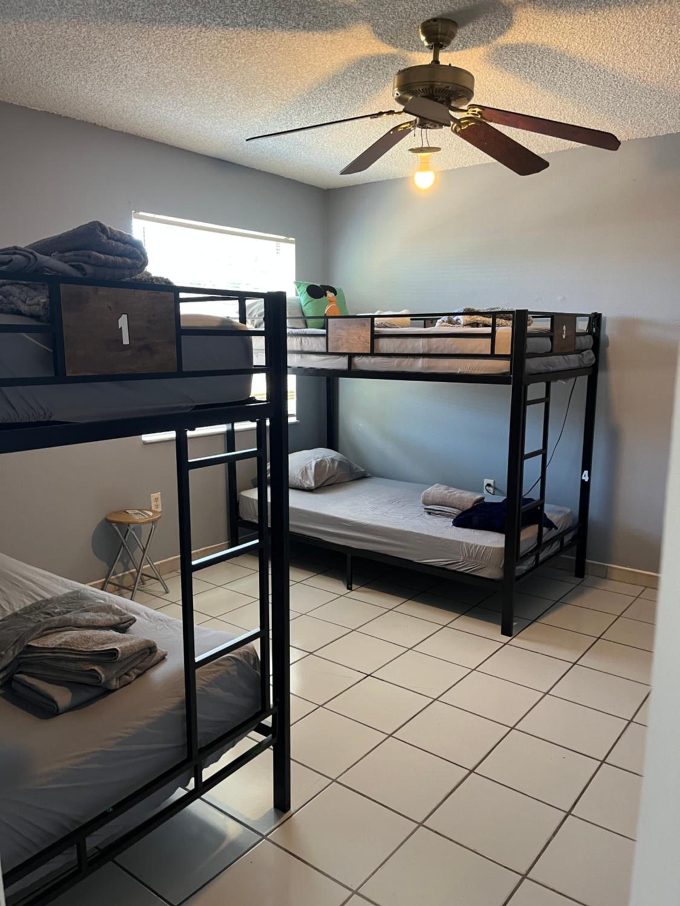 Bunk Bed in Mixed Dormitory Room photo 1