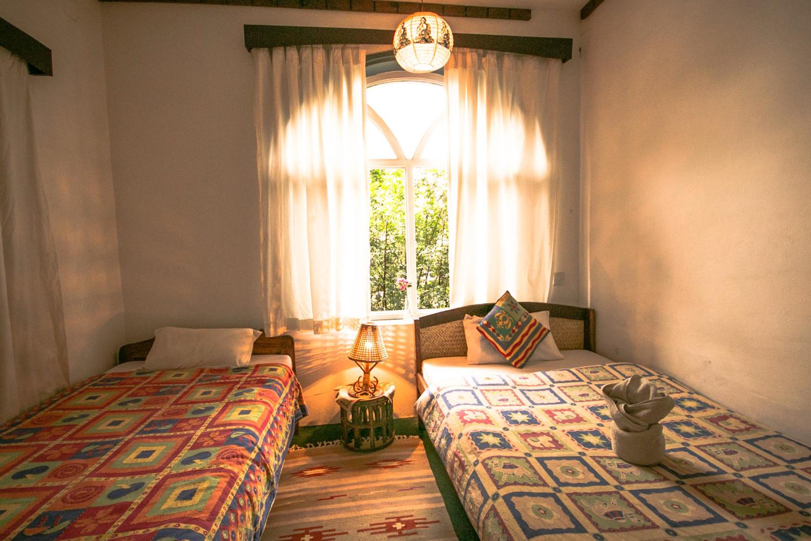 Deluxe Double or Twin Room photo 1