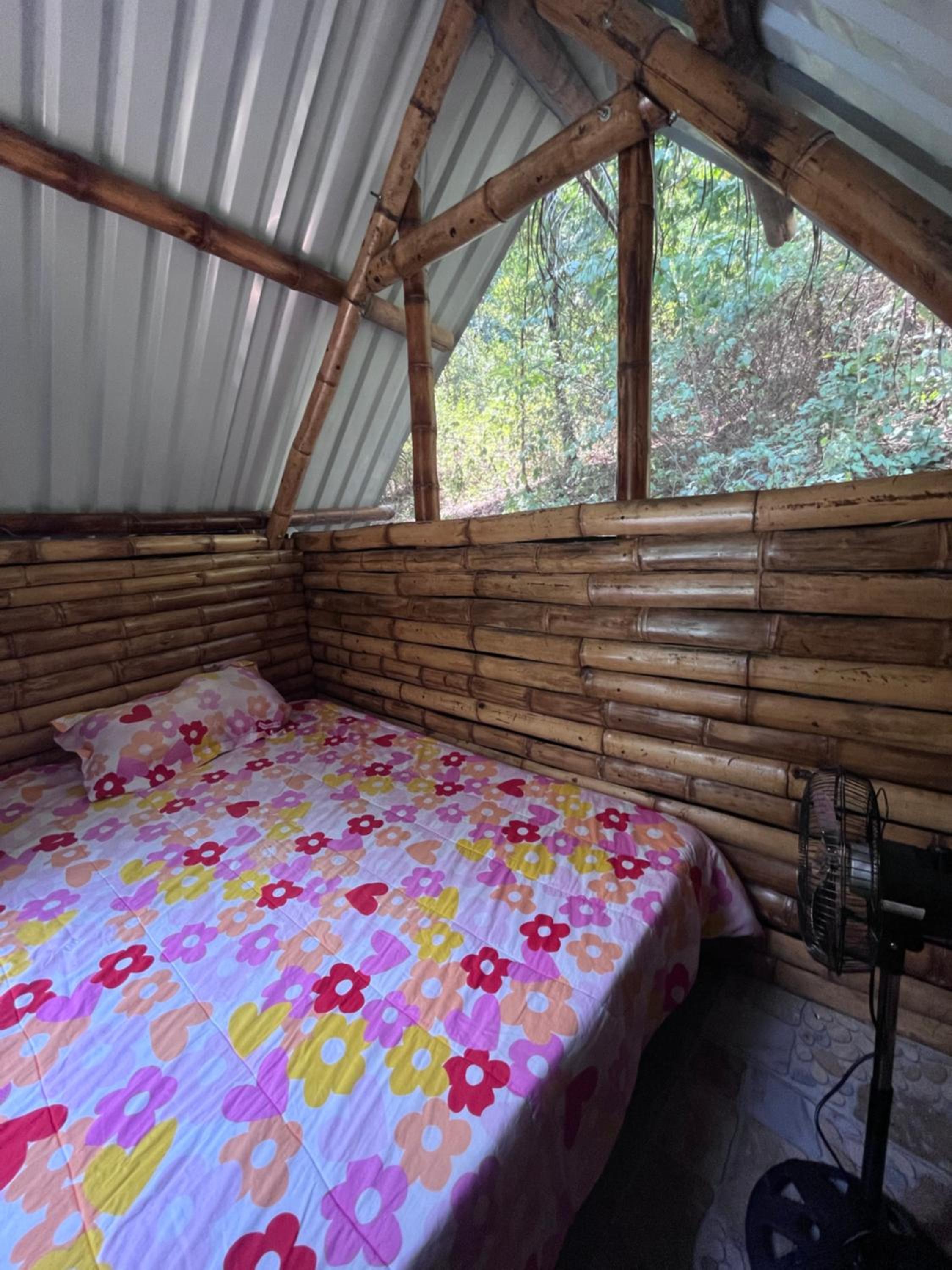 Tent photo 1