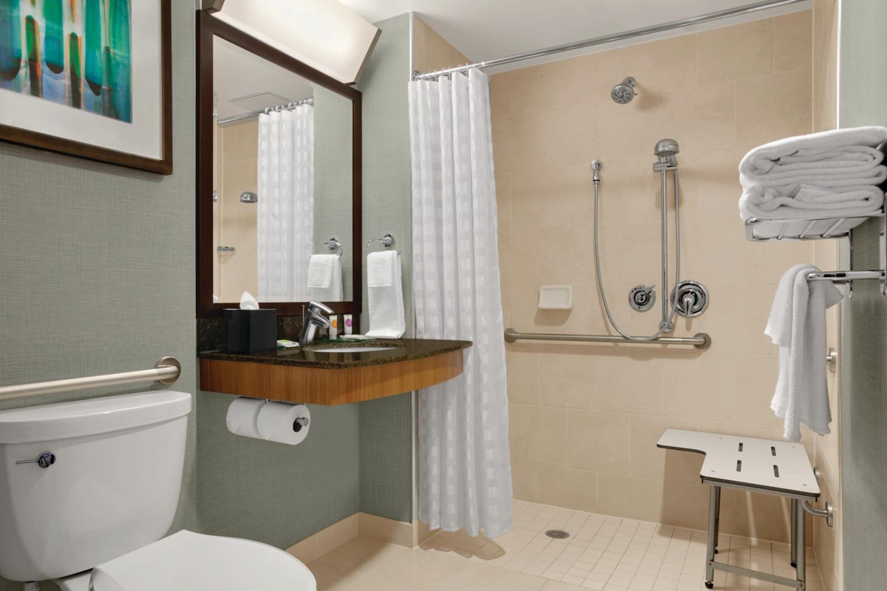 King Room with Roll-In Shower - Disability Access