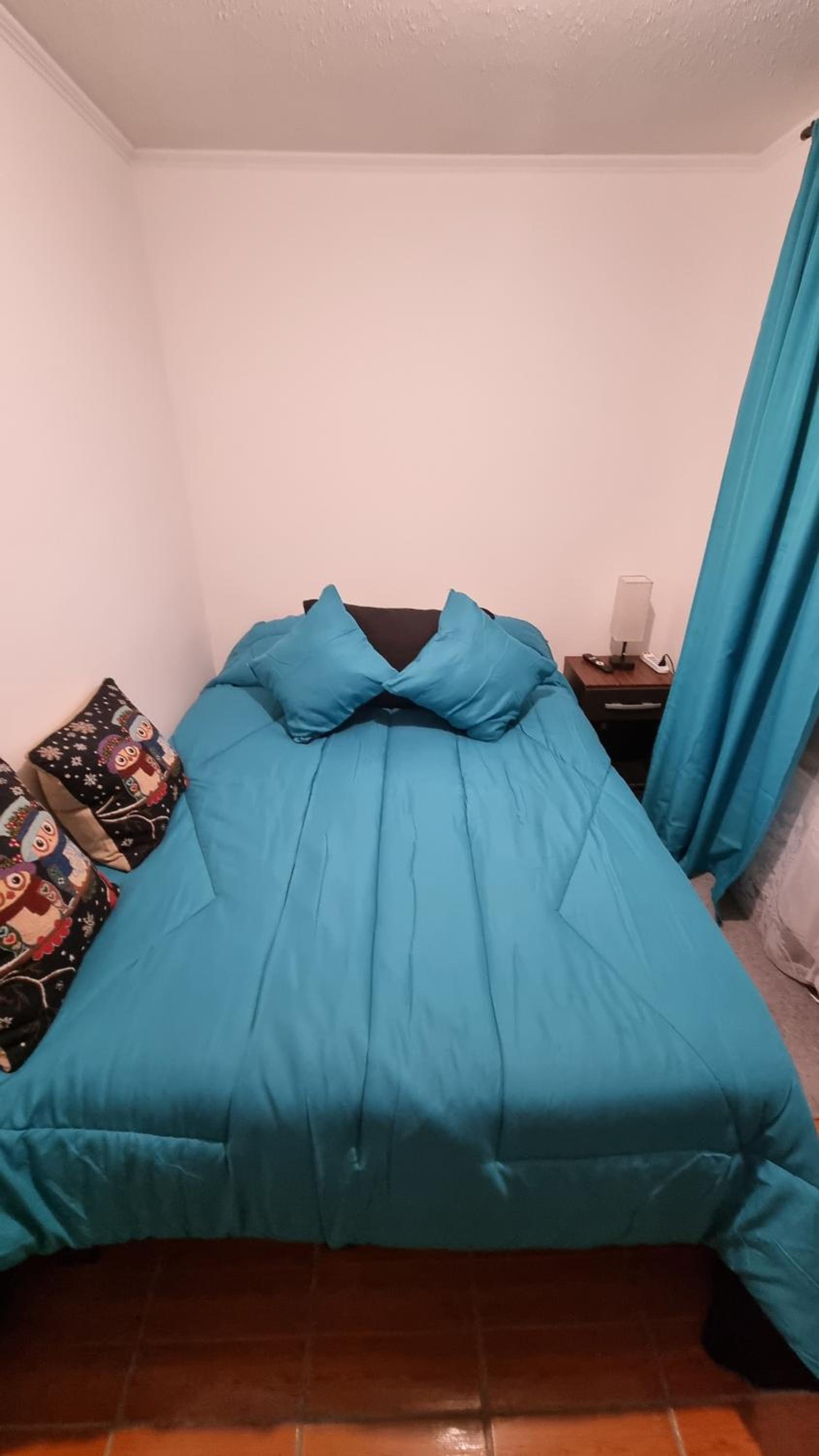 One-Bedroom Apartment photo 3