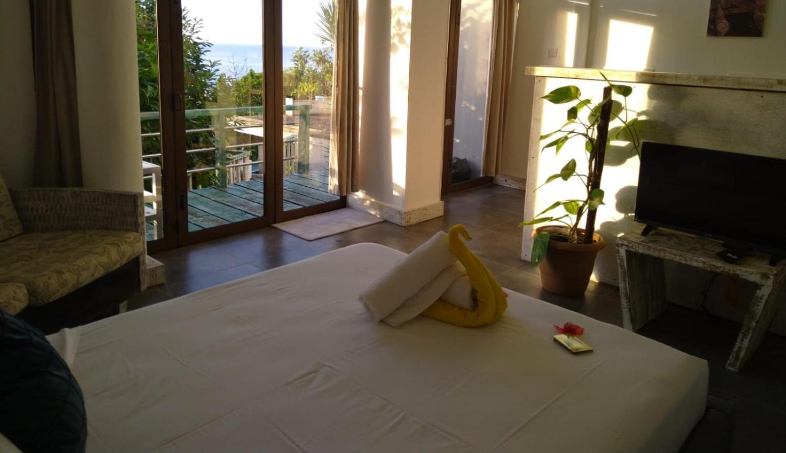 Apartment with Terrace photo 2