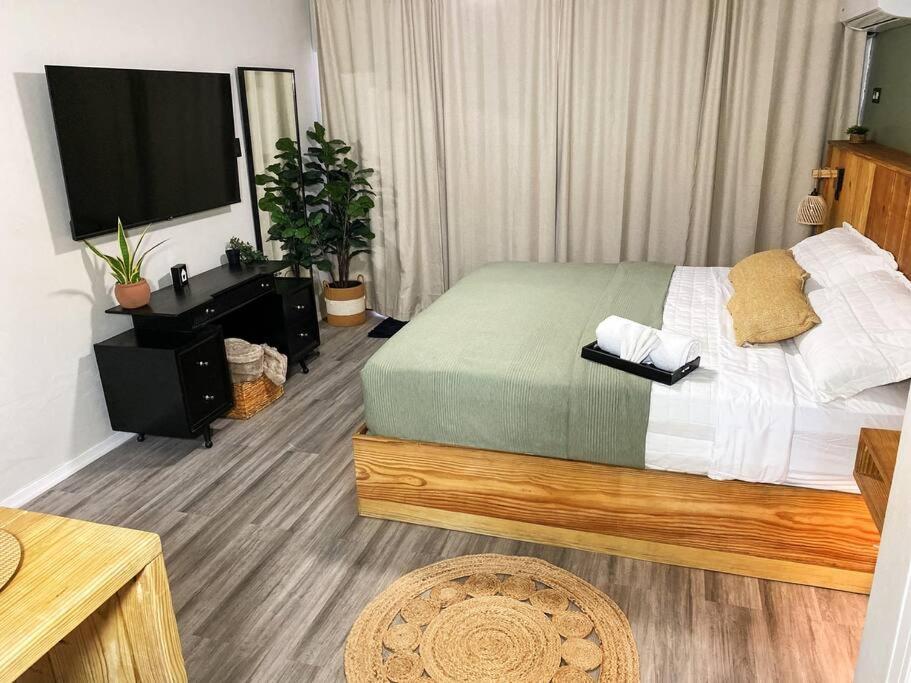 Studio Apartment photo 1