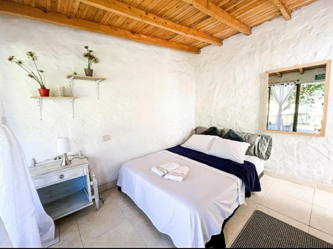 Double Room with Lake View photo 3