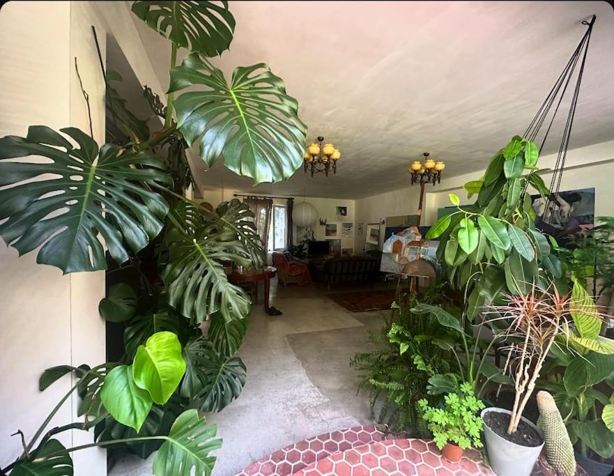 One-Bedroom Villa photo 1