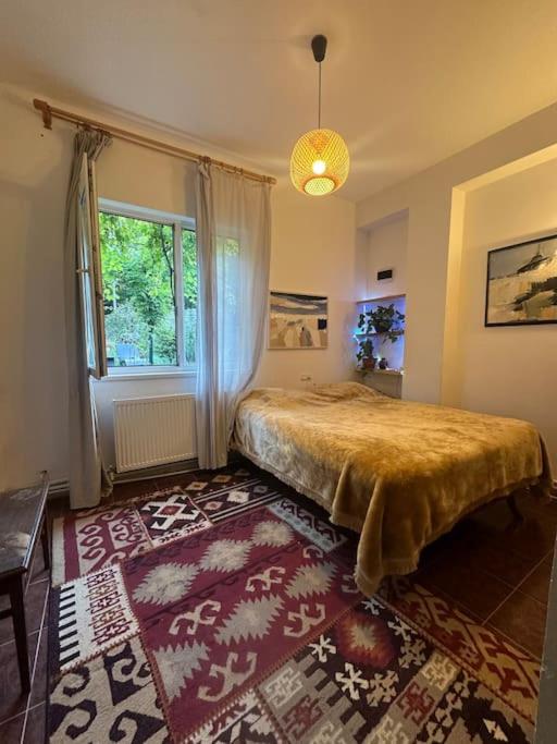 One-Bedroom Villa photo 2