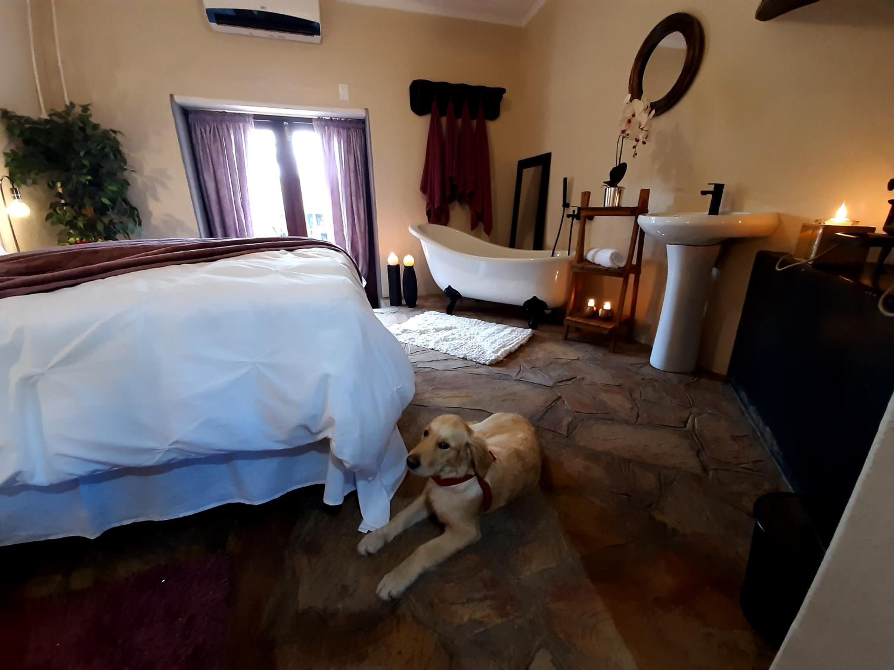 Queen Room - Photo 24