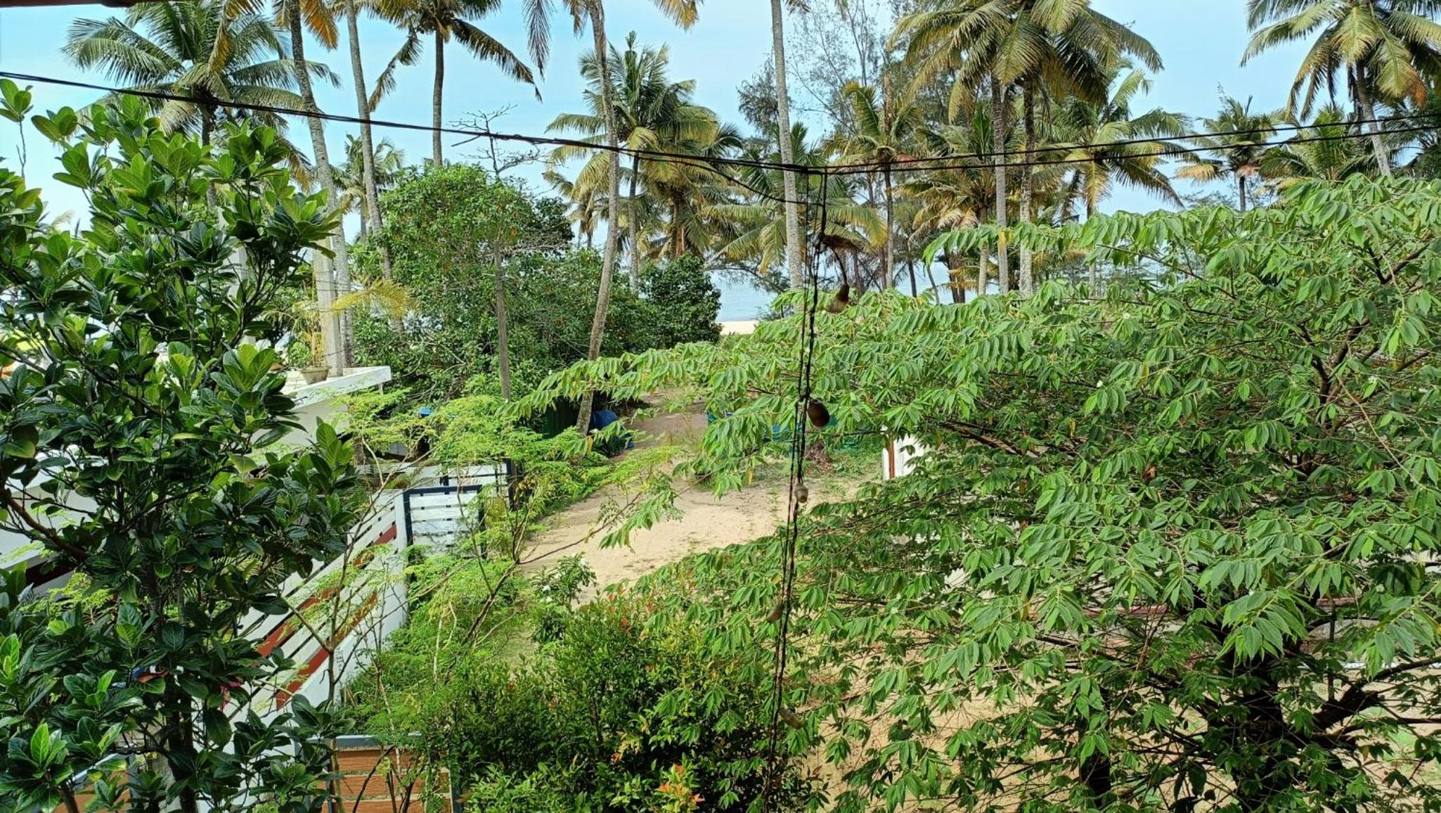 Double Room With Balcony And Sea View photo 3