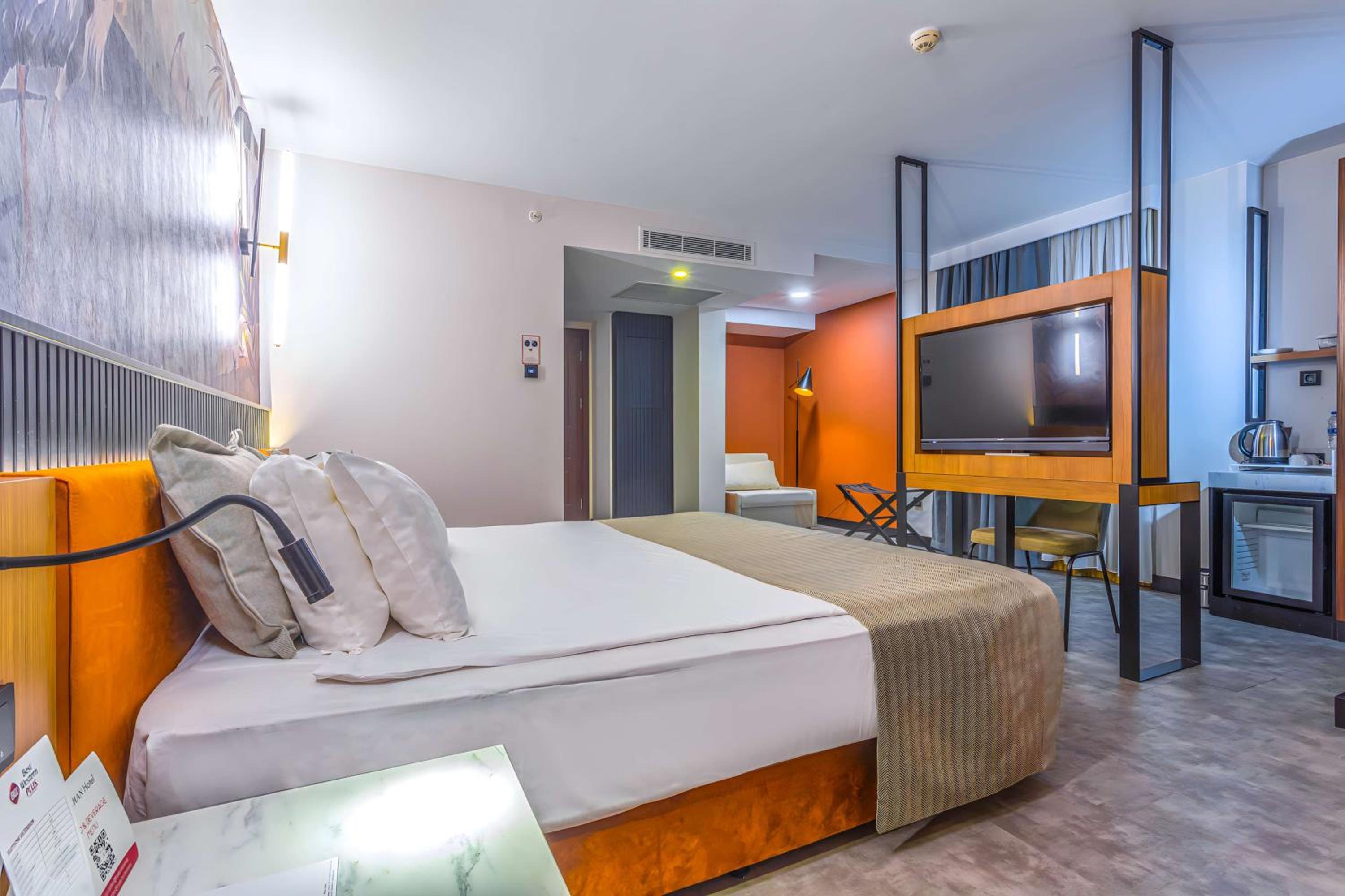 Deluxe King Suite with Sofa Bed - Non-Smoking - Photo 12