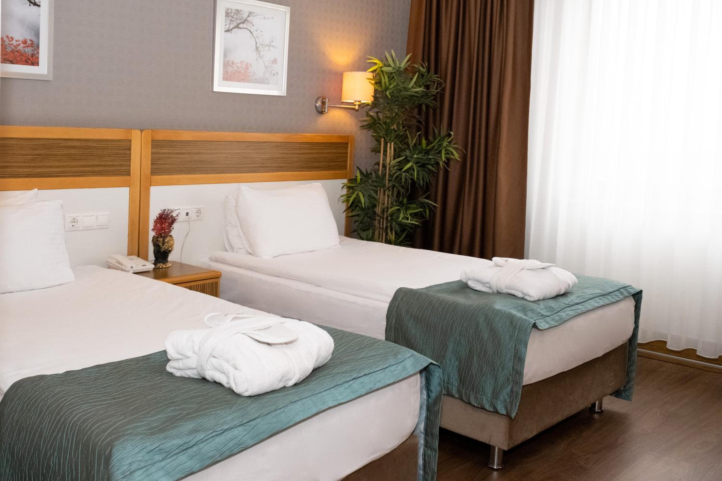 Standard Double or Twin Room