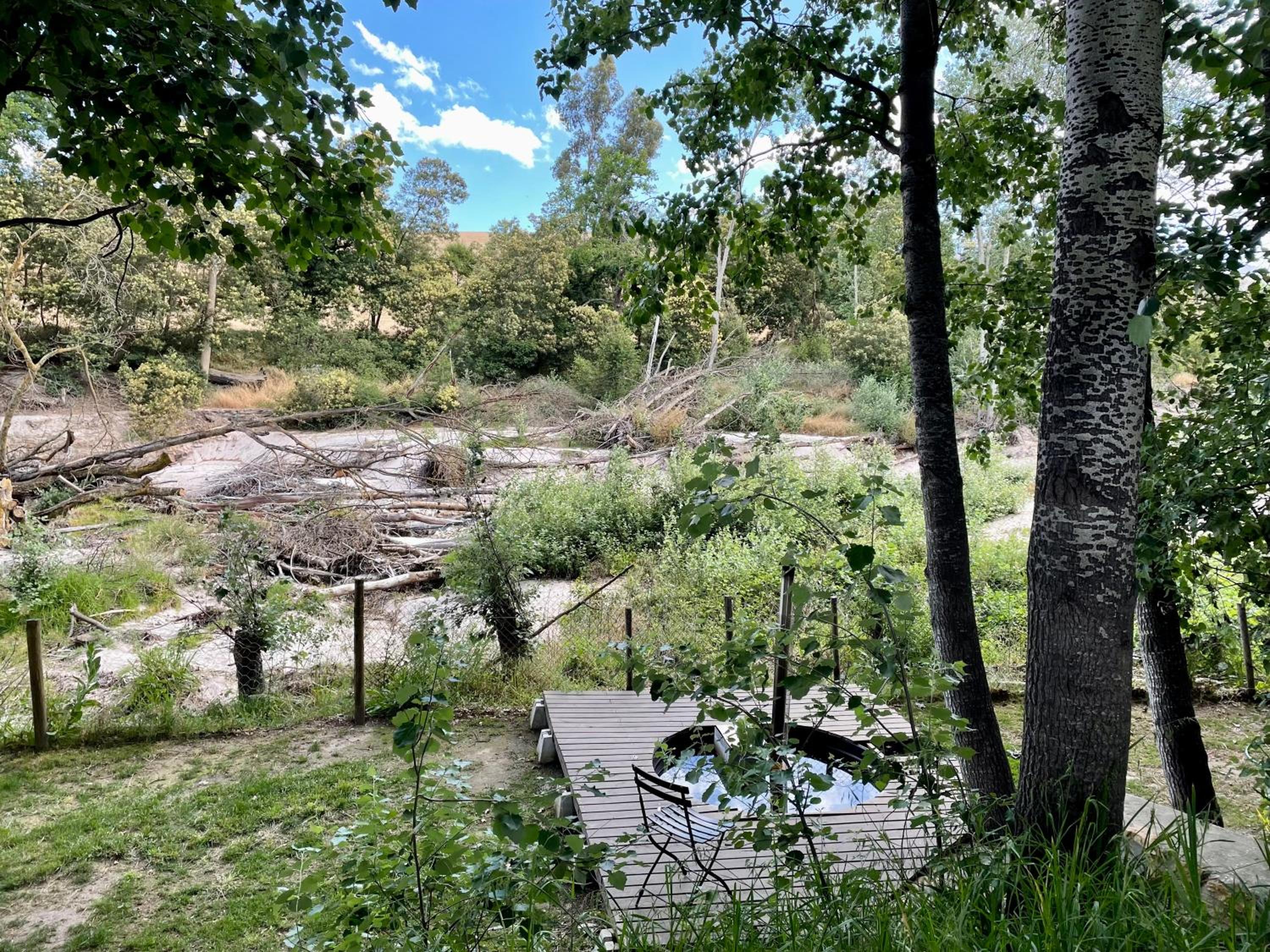  Hobbit Hollow - Photo 8