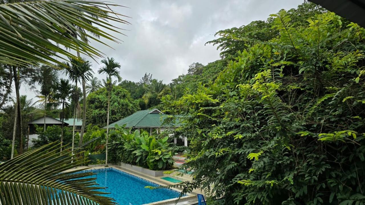 Family Bungalow photo 2