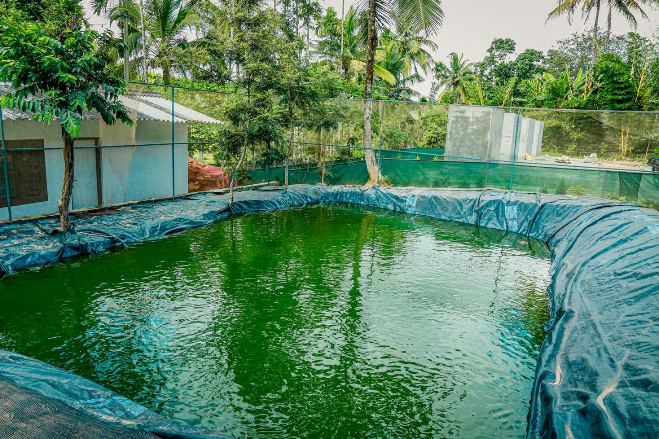 Villa With Private Pool photo 3