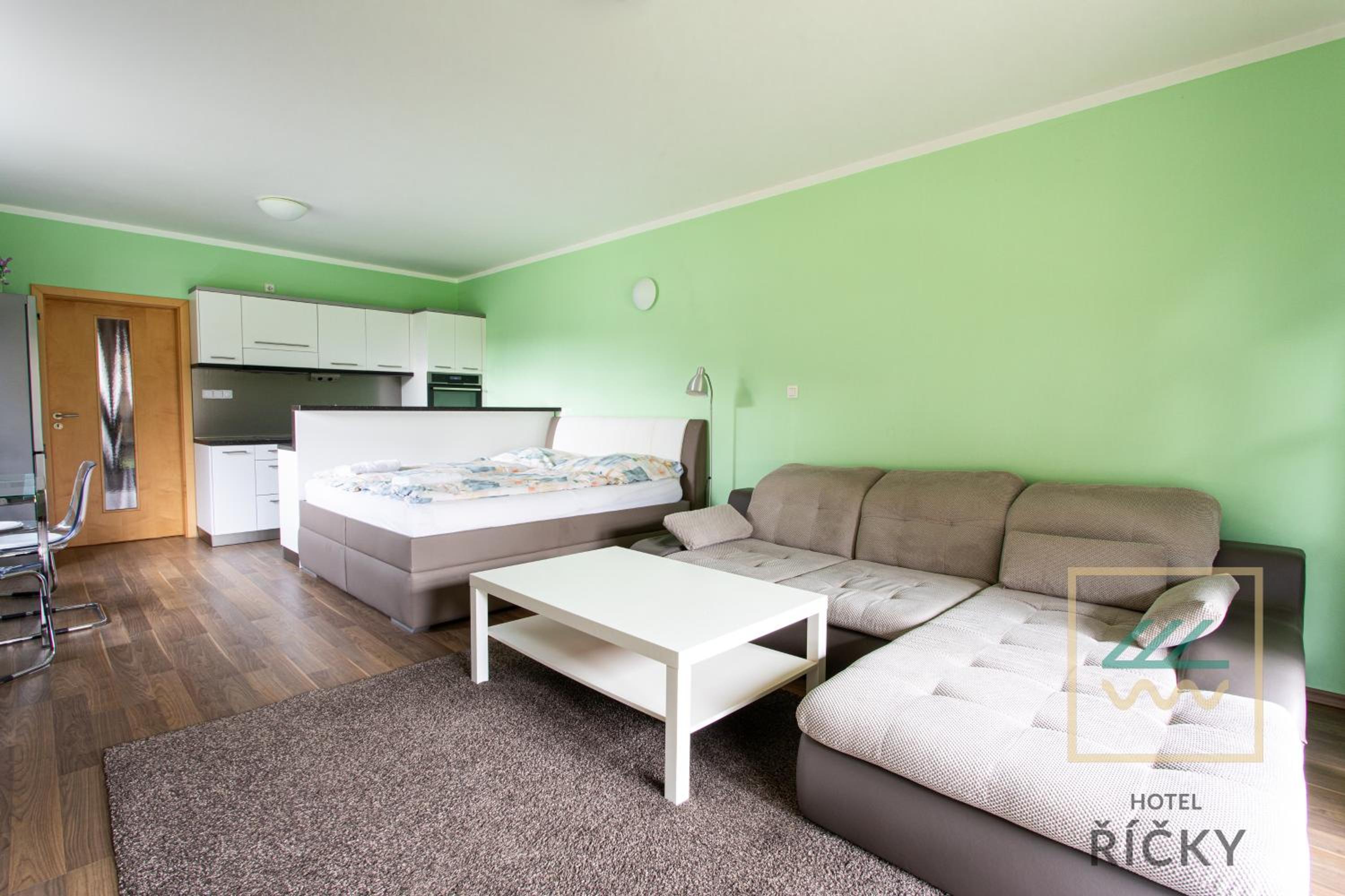 Standard Apartment photo 3