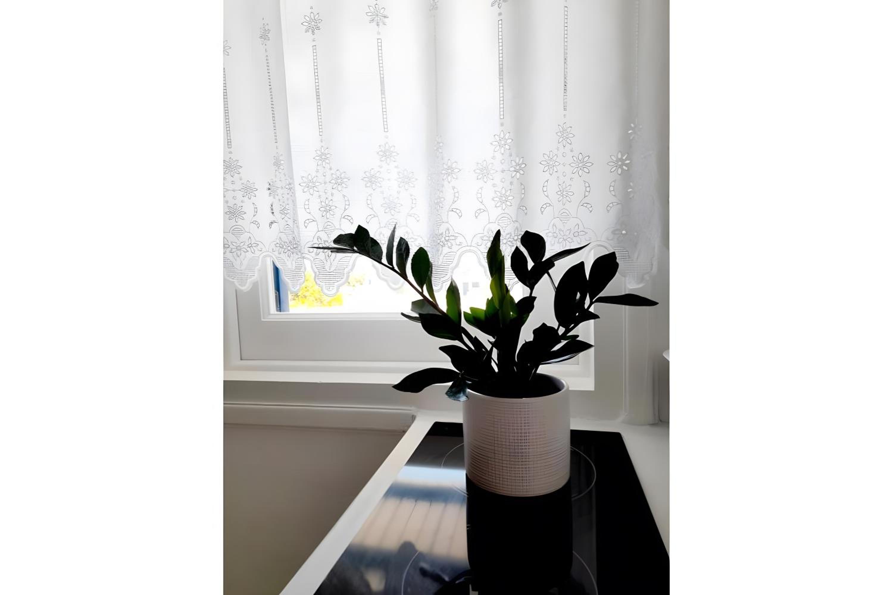 Studio with Sea View - Photo 10